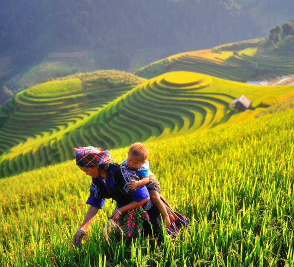 LIÊN TUYẾN TÂY BẮC:  MÙ CANG CHẢI - SAPA - ĐIỆN BIÊN - MỘC CHÂU  5N4Đ