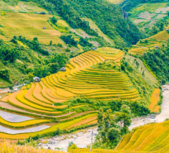 MÙ CANG CHẢI MÙA LÚA - 3N2Đ