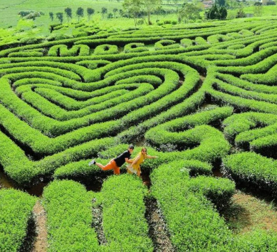 HÀNH TRÌNH KHÁM PHÁ XỬ SỞ HOA MỘC CHÂU - 2N1Đ