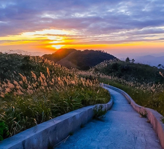 BÌNH LIÊU MÙA HOA LAU 2N1Đ