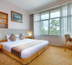 Combo Hà Nội  Hcm - Đà Lạt  Dalat Wonder Resort 4  - 4N3Đ  (2)