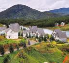 Combo Hà Nội  Hcm - Đà Lạt  Dalat Wonder Resort 4  - 4N3Đ  (1)