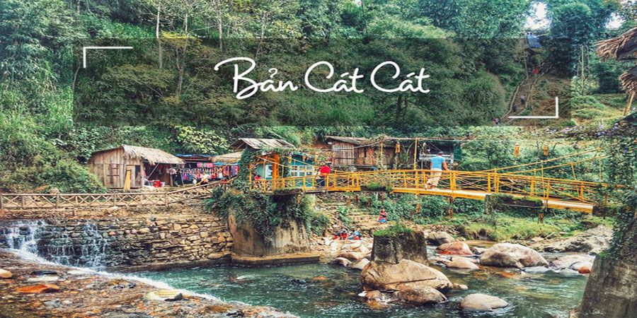 ban-cat-cat.jpg