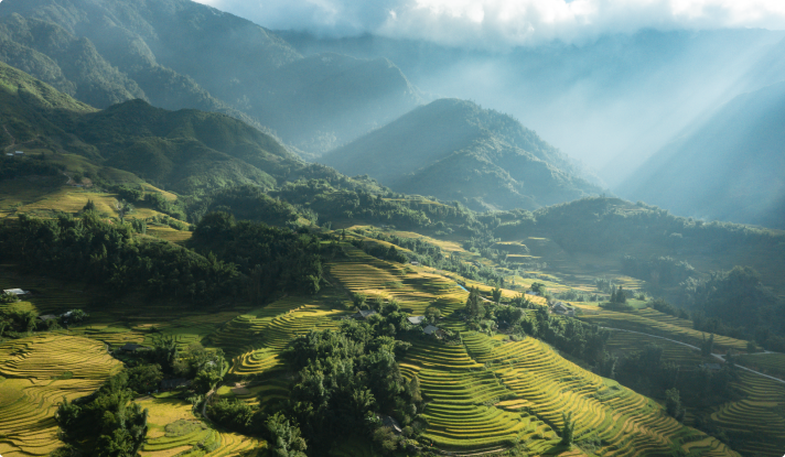 Sapa